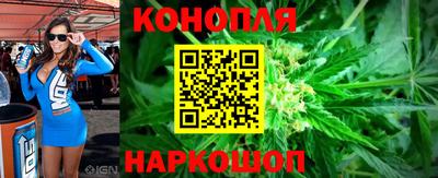 прущие крисы Новозыбков