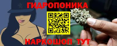 2c-b Новодвинск