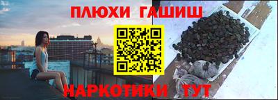 прущие крисы Новозыбков